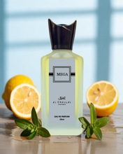 Load image into Gallery viewer, Mega